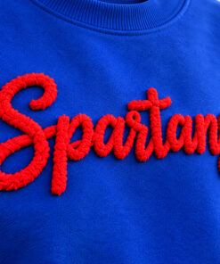 Chenille Yarn Embroidered Sweatshirt - color options